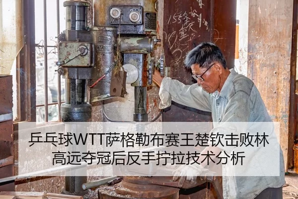 乒乓球WTT萨格勒布赛王楚钦击败林高远夺冠后反手拧拉技术分析